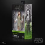 STAR WARS THE BLACK SERIES 6-INCH PRINCESS LEIA (EWOK VILLAGE) FIGURE – 2
